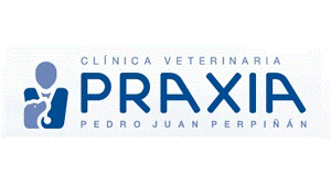 praxia-clinica-veterinaria-pedro-juan-perpinyan